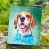Pet Portrait on Stratched Canvas